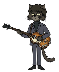 cat 3