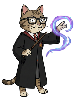 cat 4
