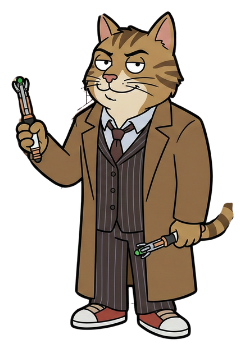 cat 6